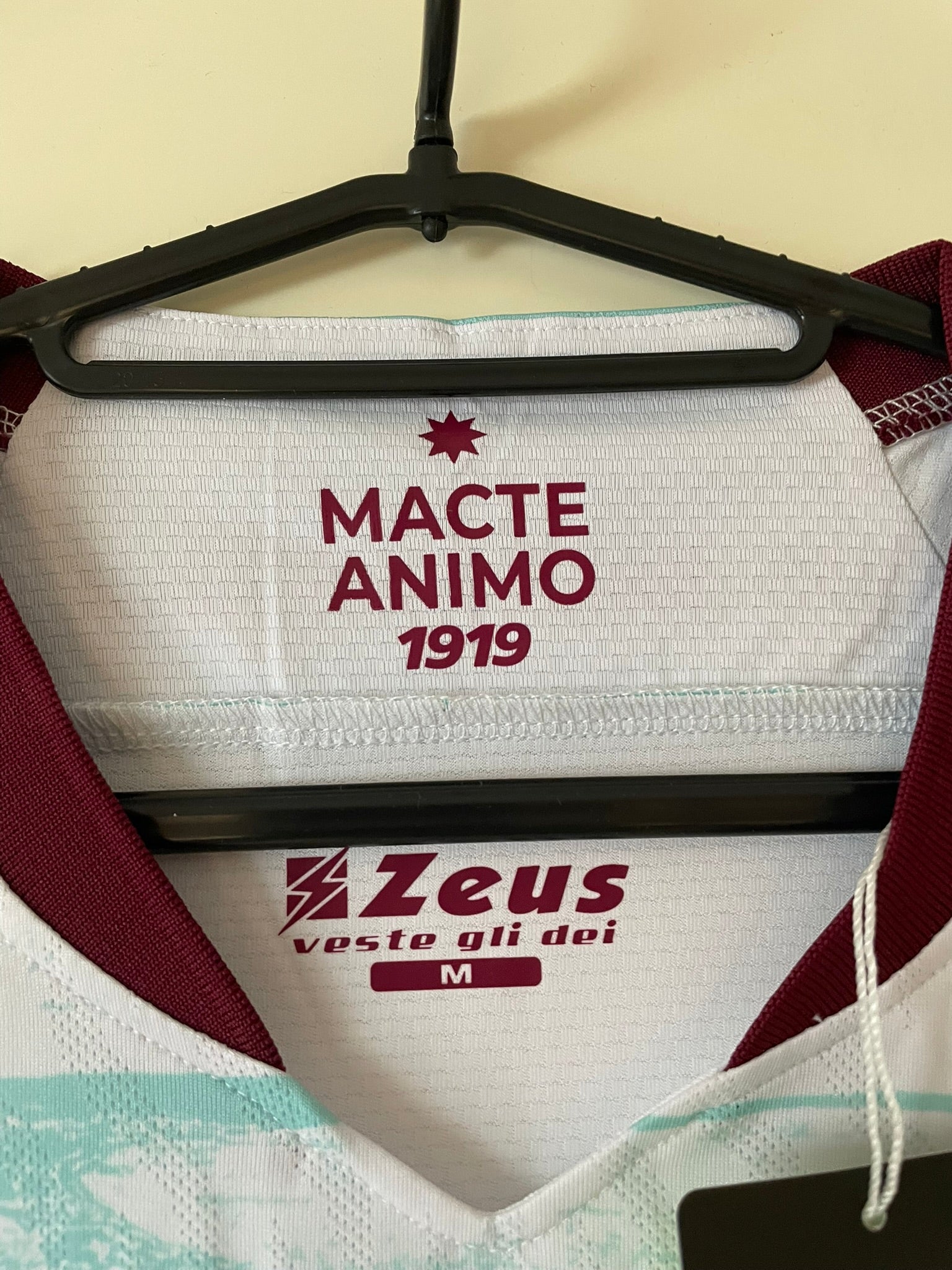 Salernitana Zeus 23/24 Away BNWT (M)