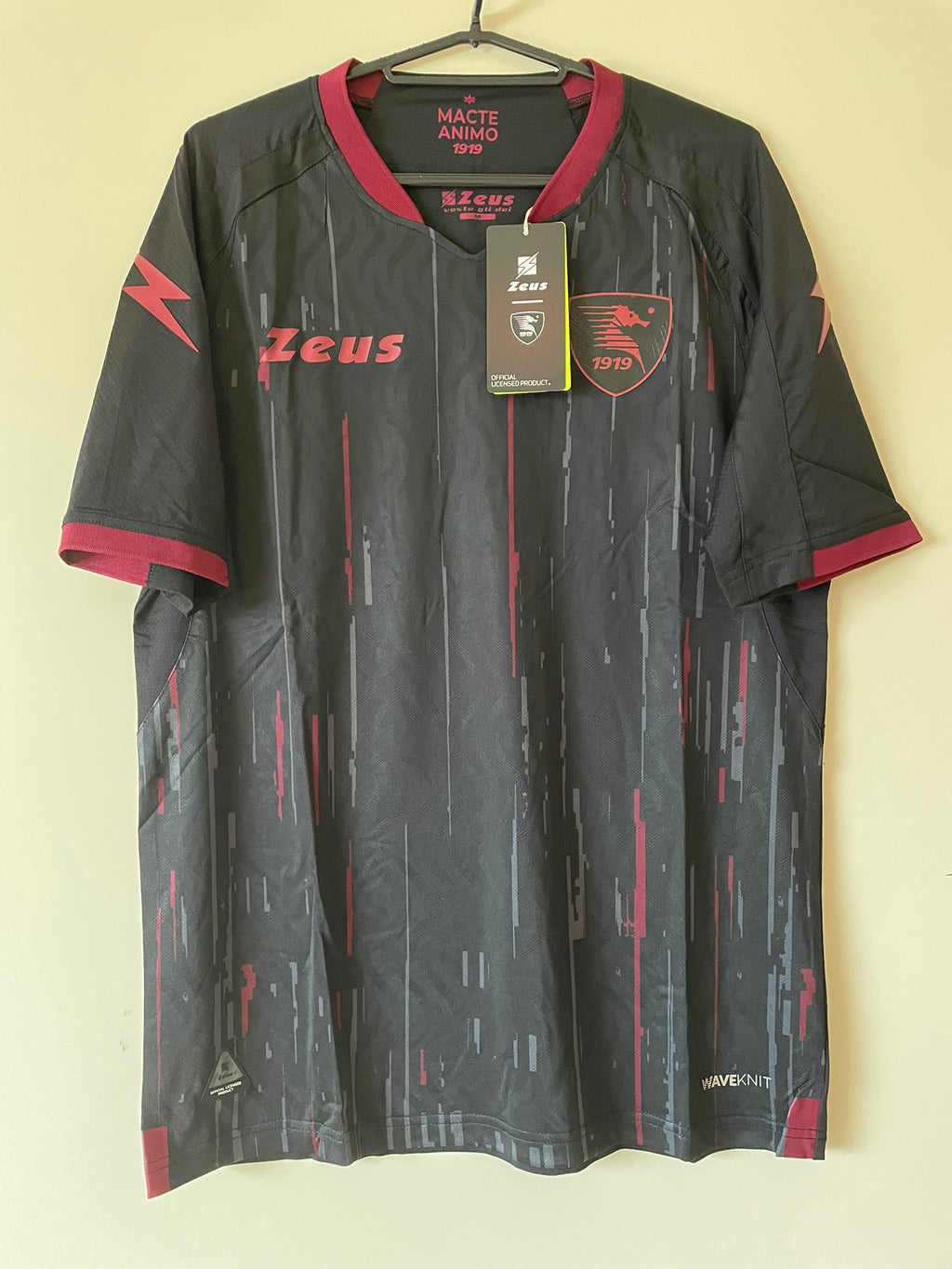 Salernitana Zeus 23/24 Third BNWT (M)