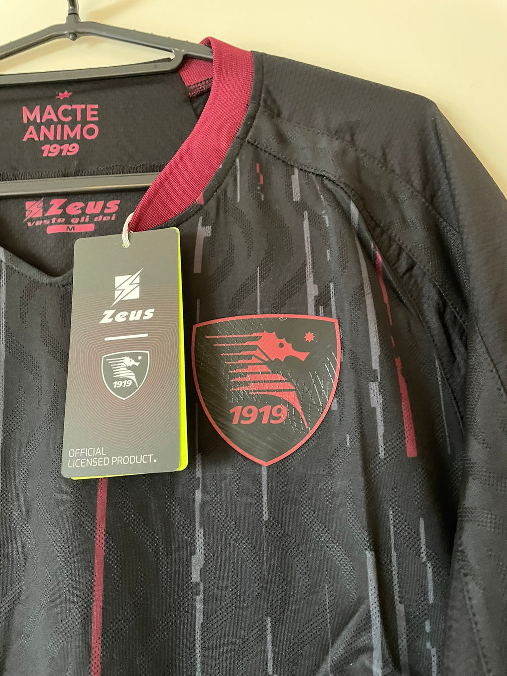 Salernitana Zeus 23/24 Third BNWT (M)