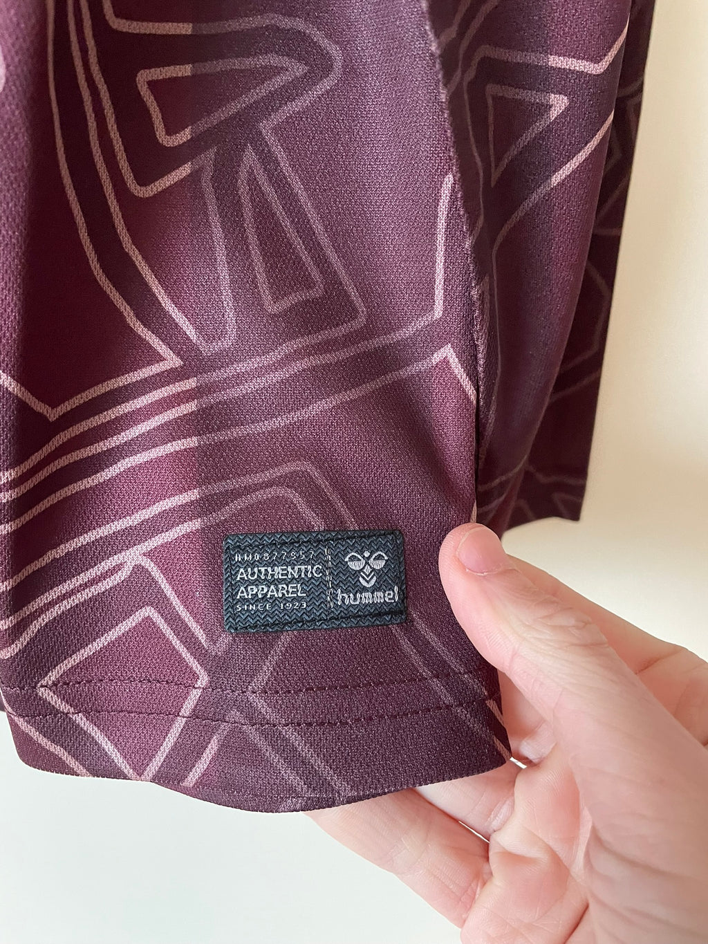 Denmark Hummel 2025 Special BNWT (M)