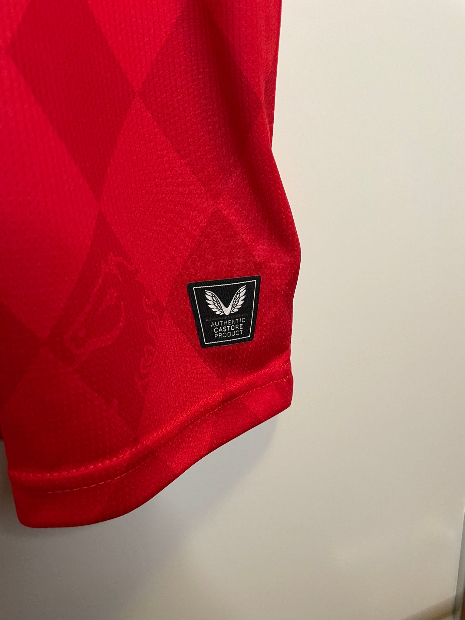 FC Twente Castore 25/26 Home BNWT (XL)