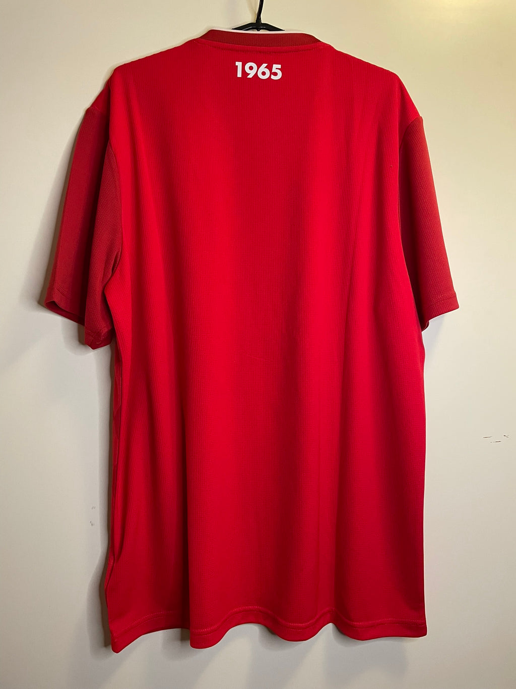 FC Twente Castore 25/26 Home BNWT (XL)