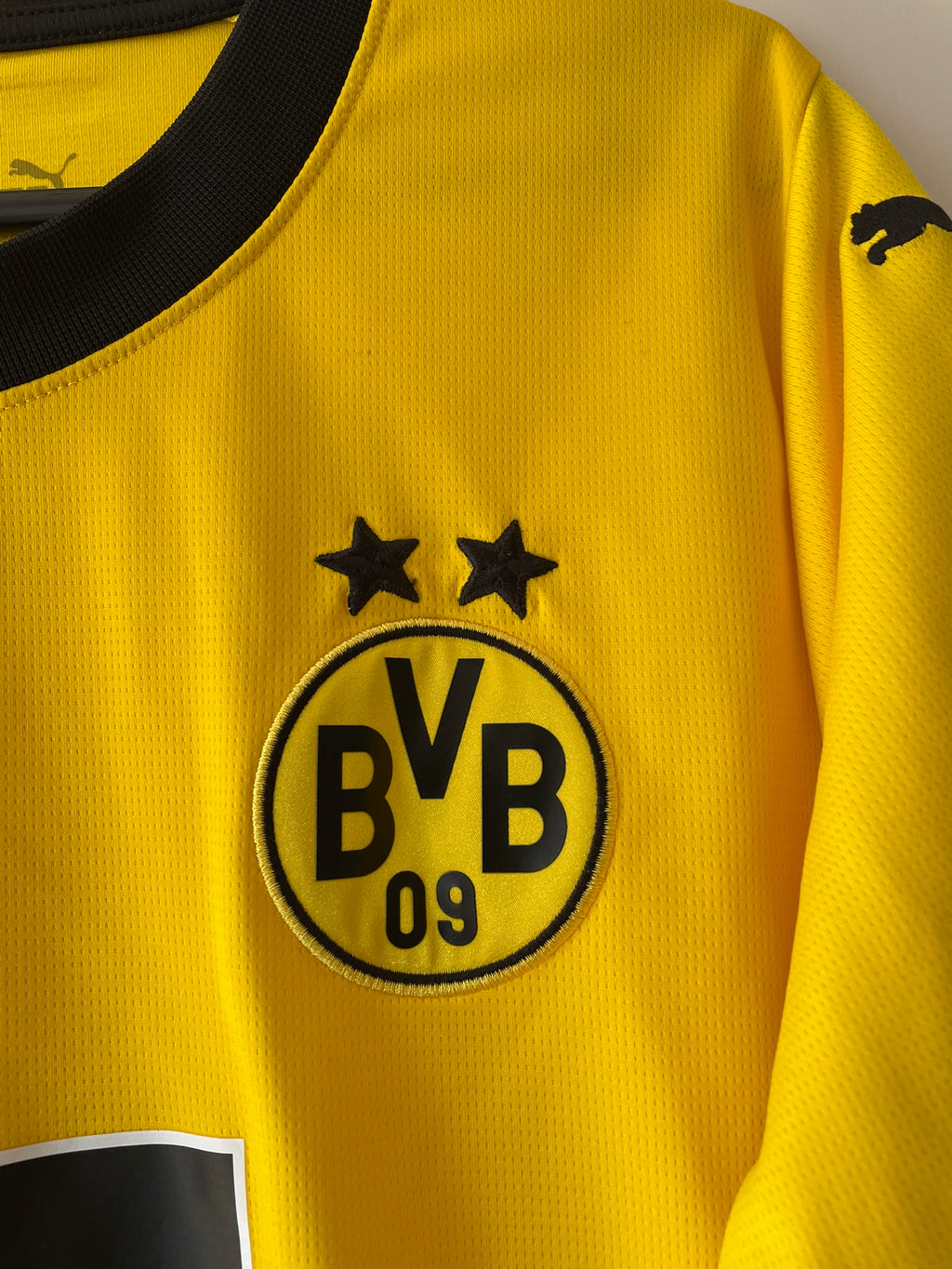 Borussia Dortmund Puma 23/24 Home (M)