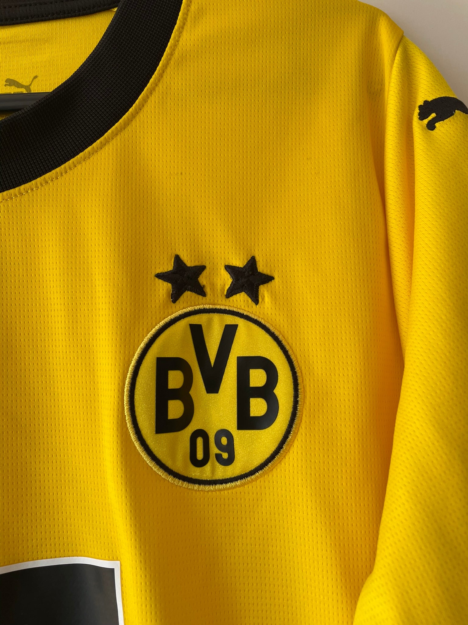 Borussia Dortmund Puma 23/24 Home (M)
