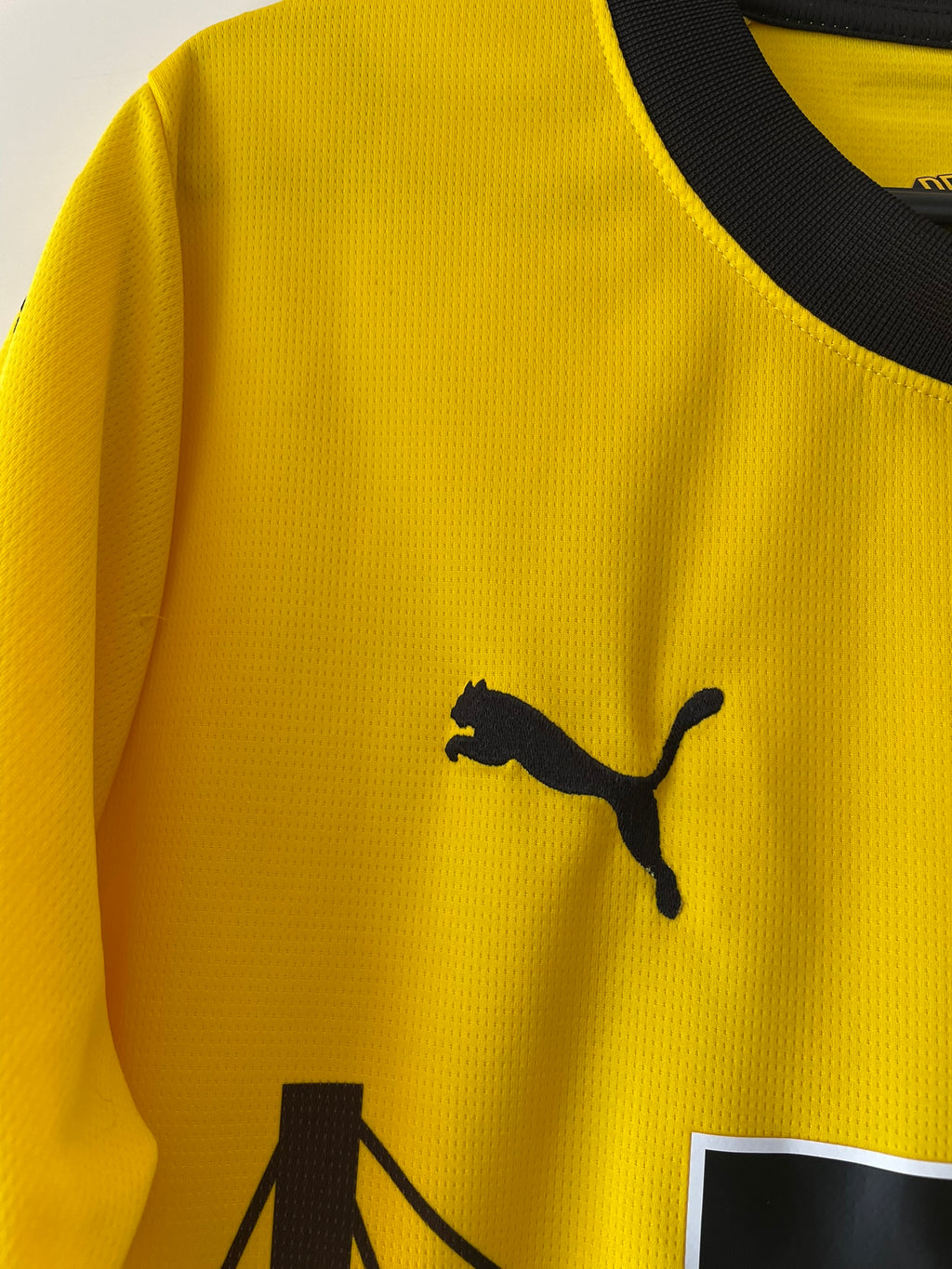 Borussia Dortmund Puma 23/24 Home (M)