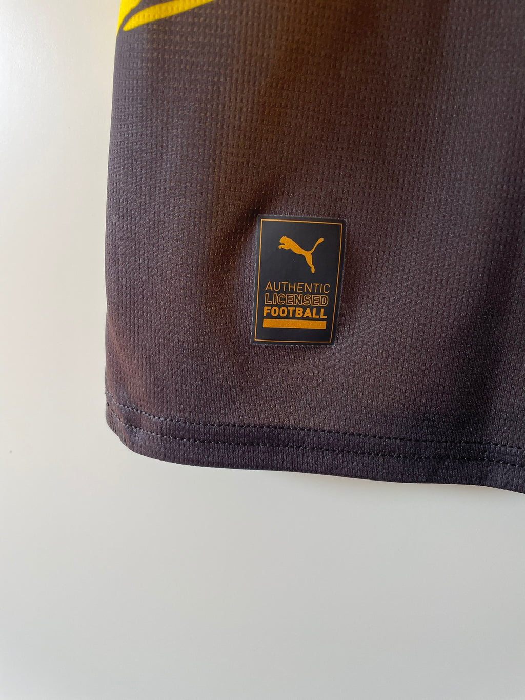 Borussia Dortmund Puma 23/24 Home (M)