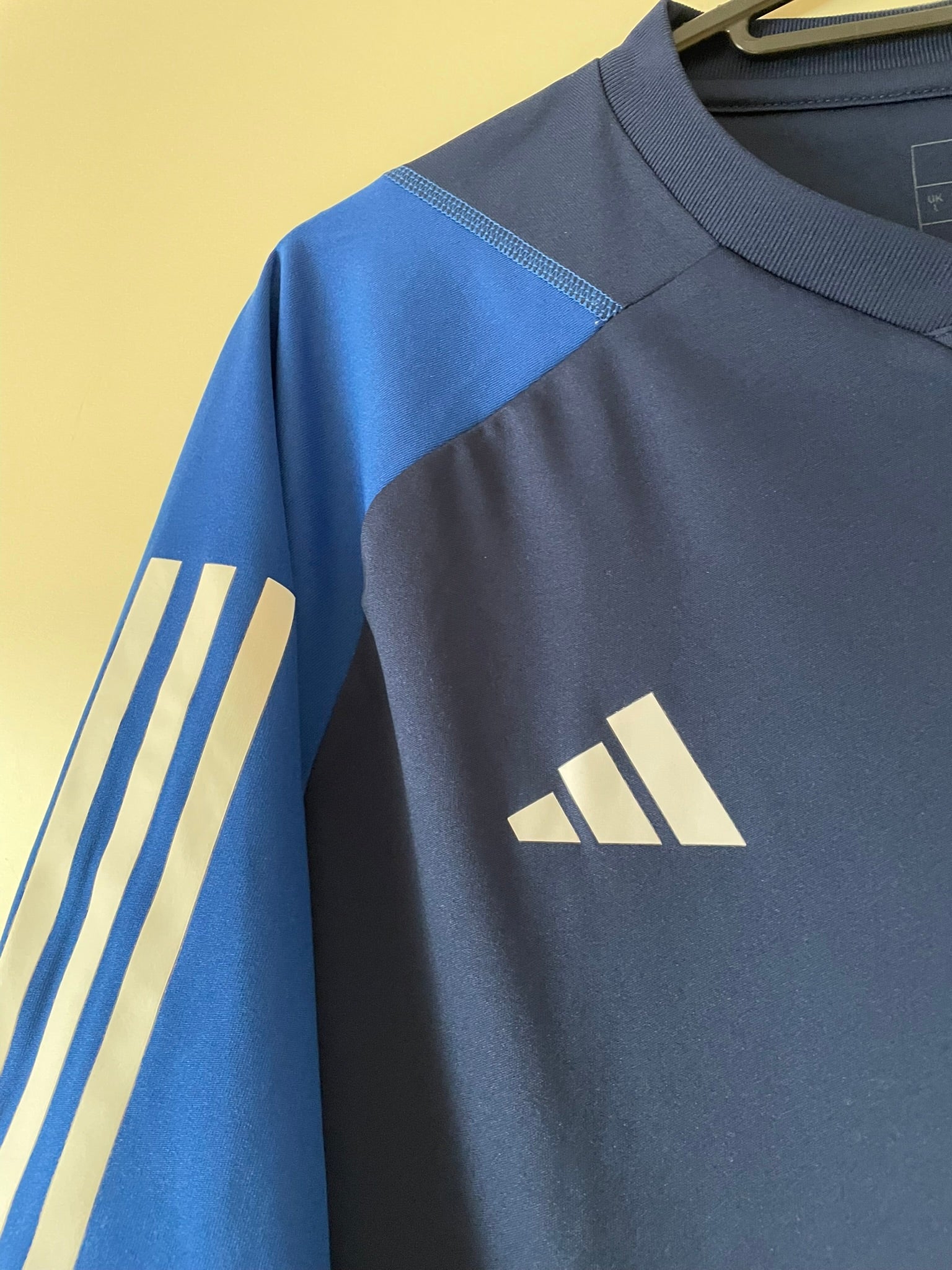 Pisa SC Adidas 23/24 Training (L)