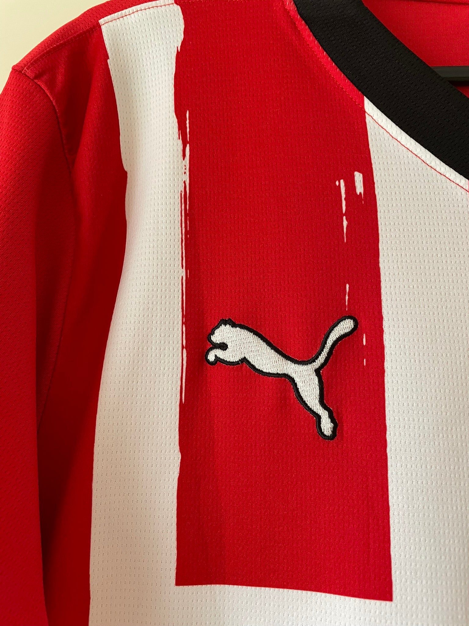 PSV Puma 24/25 Home #11 (M)