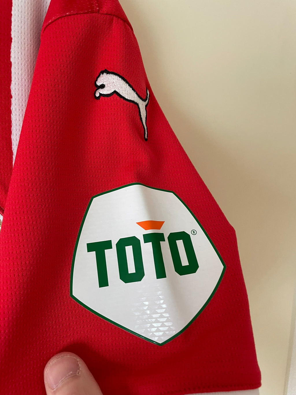 PSV Puma 24/25 Home #11 (M)
