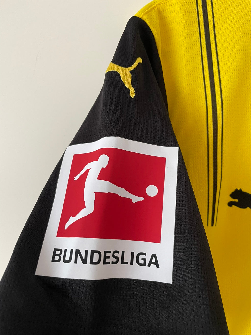 Brandt #10 Borussia Dortmund Puma 24/25 Home (S)