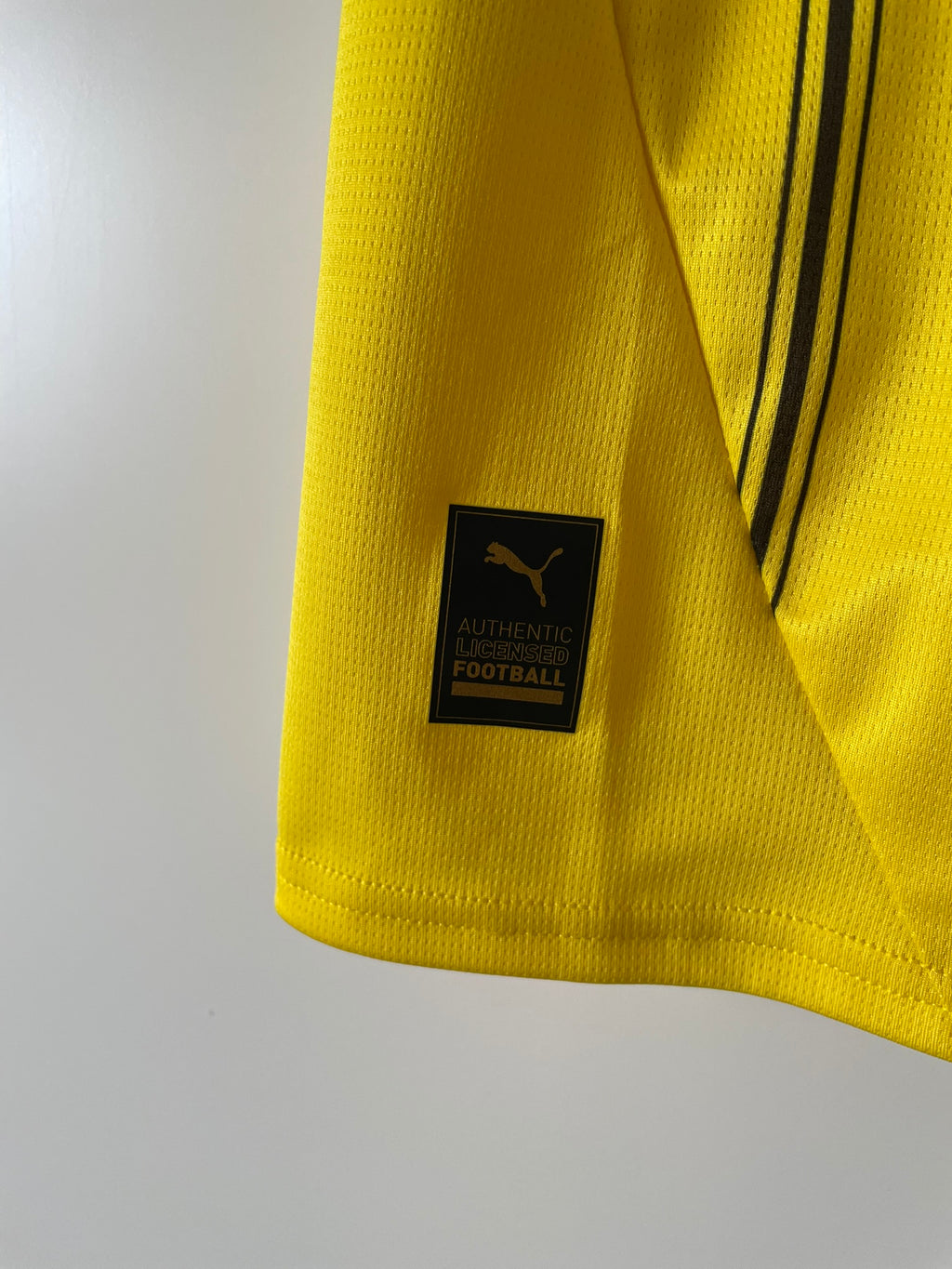 Brandt #10 Borussia Dortmund Puma 24/25 Home (S)