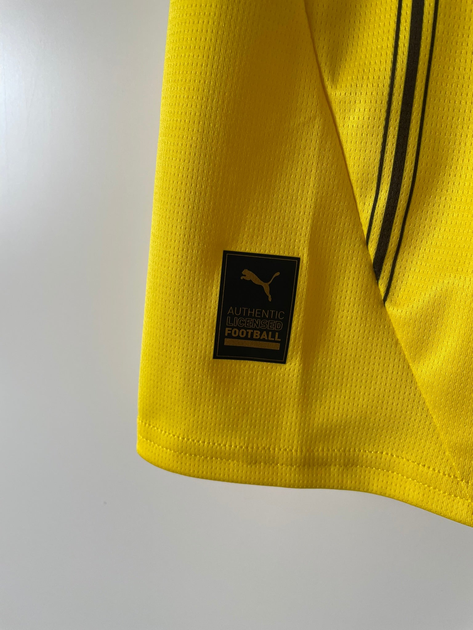Brandt #10 Borussia Dortmund Puma 24/25 Home (S)
